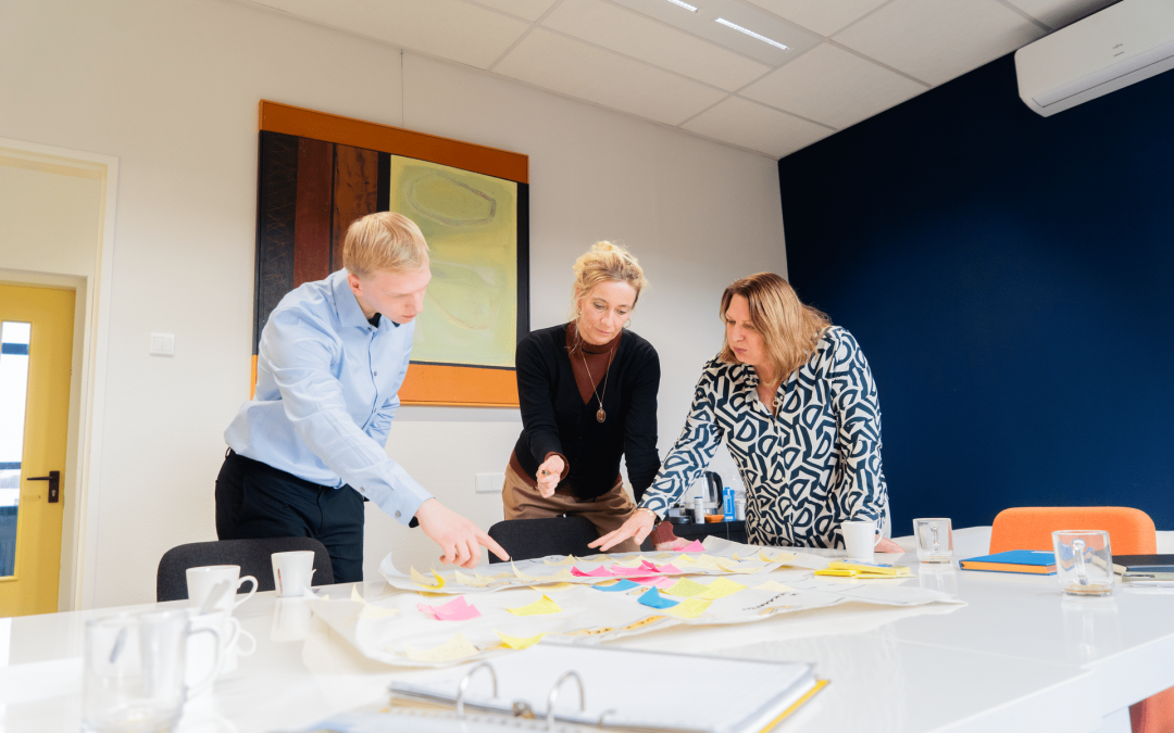 Wat doet een organisatieadviseur?